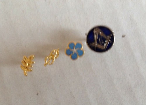 Lot pins acacia - acacia,, myosotis